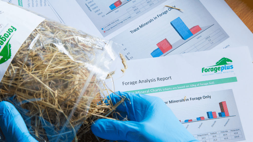 Undertaking a forage mineral analysis