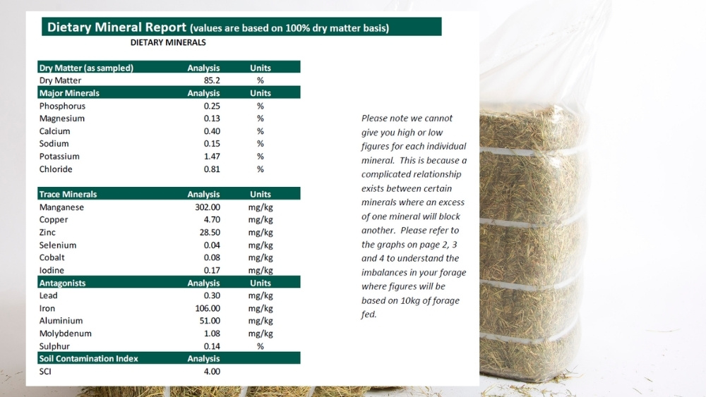 Feeding your horse using forage mineral analysis 3 Mineral Ratios