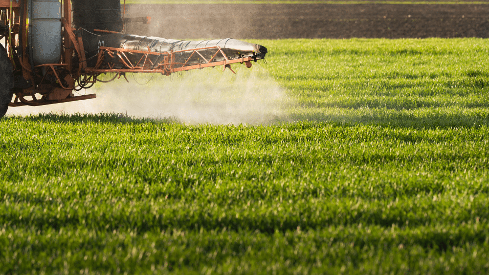 Understanding Quality Protein for Horses 5 A tractor applying fertiliser to a pasture