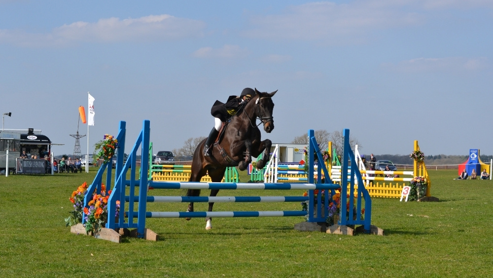 horse jumping