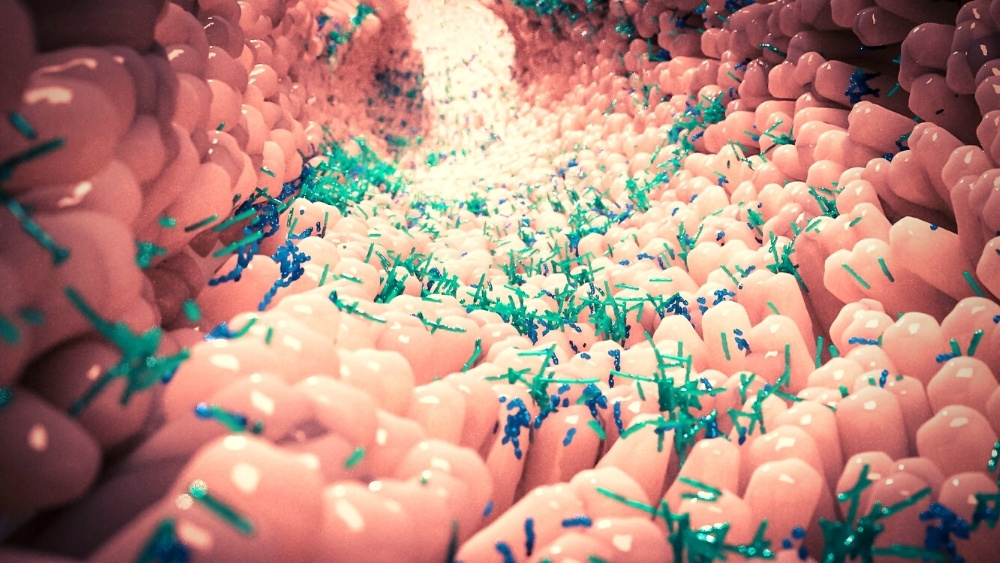 horse microbiome