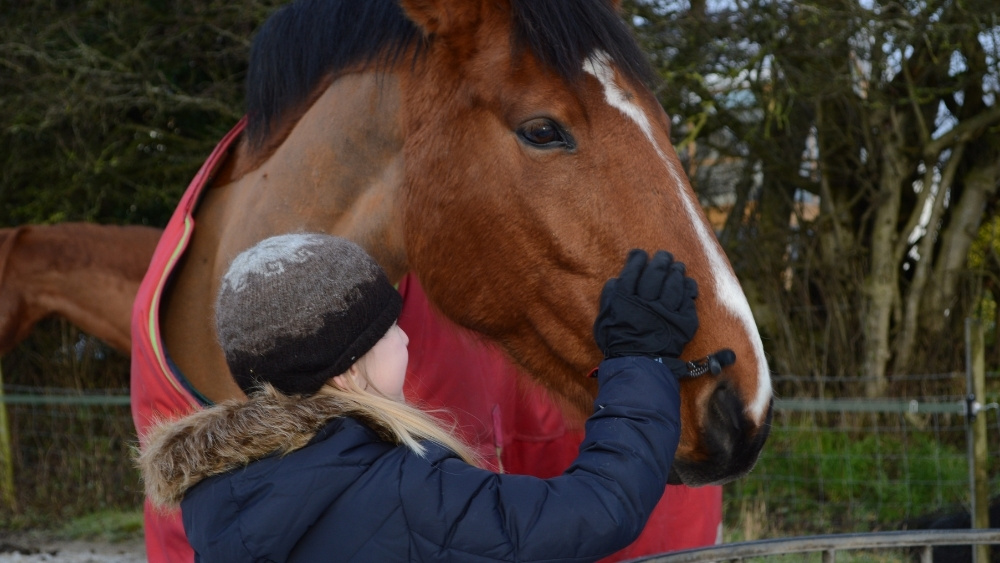 young girl with her horse in winter