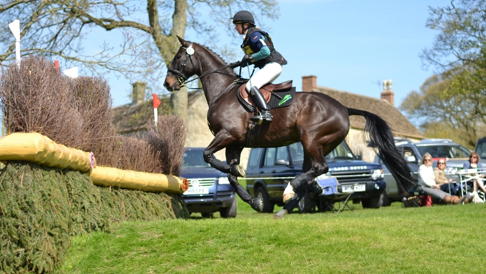 equine joint problems