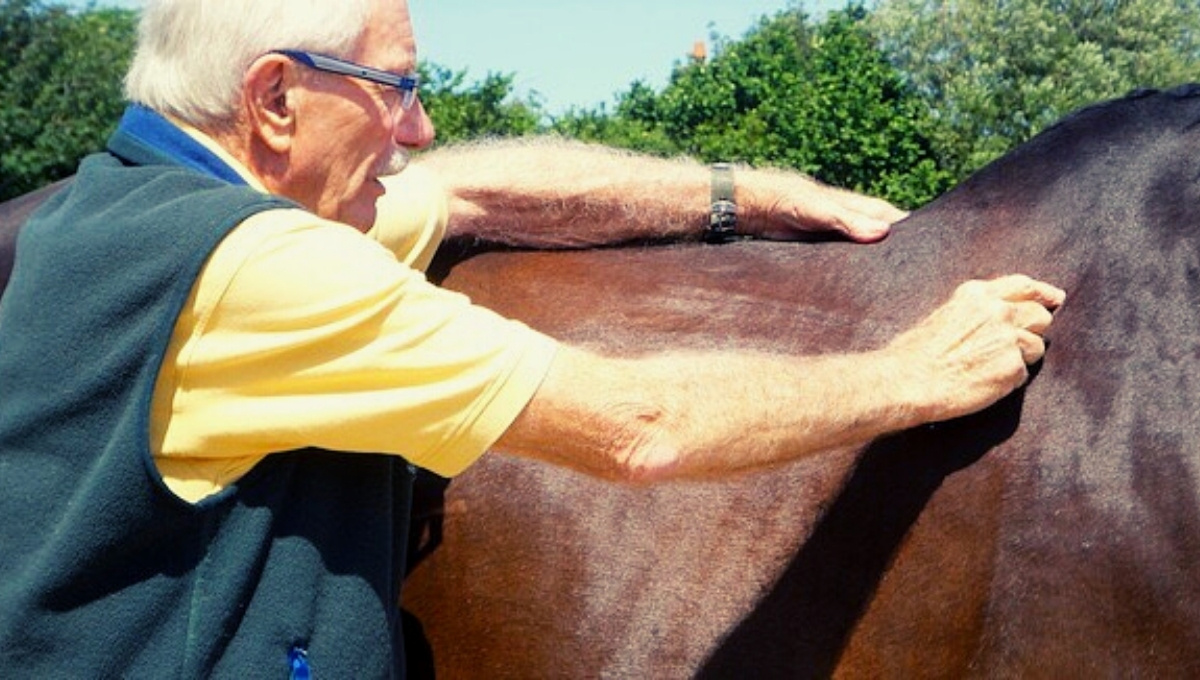 Equine Ulcers