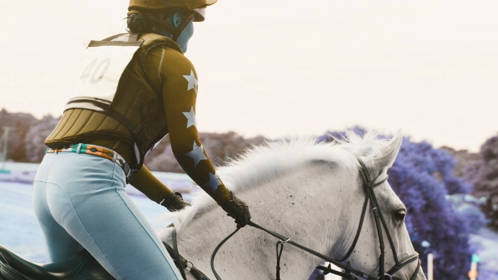 Equine Anaemia - It's NOT about Iron Deficiency 2 Equine anaemia performance horse