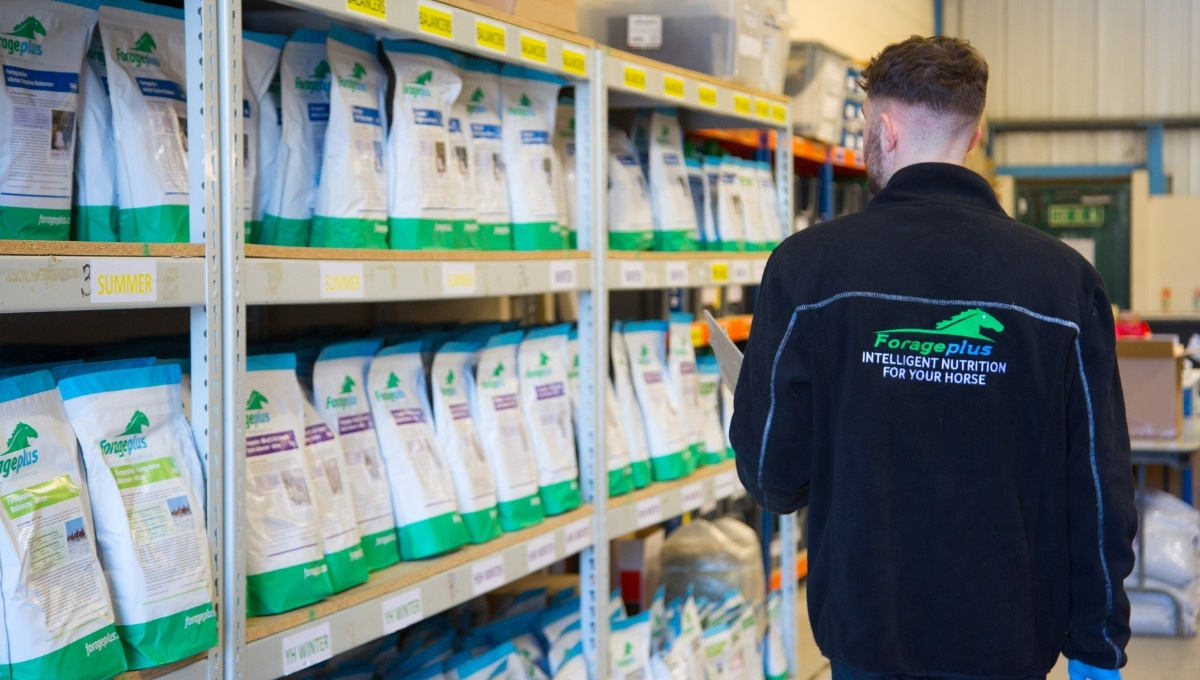 Horse Feed Supplements