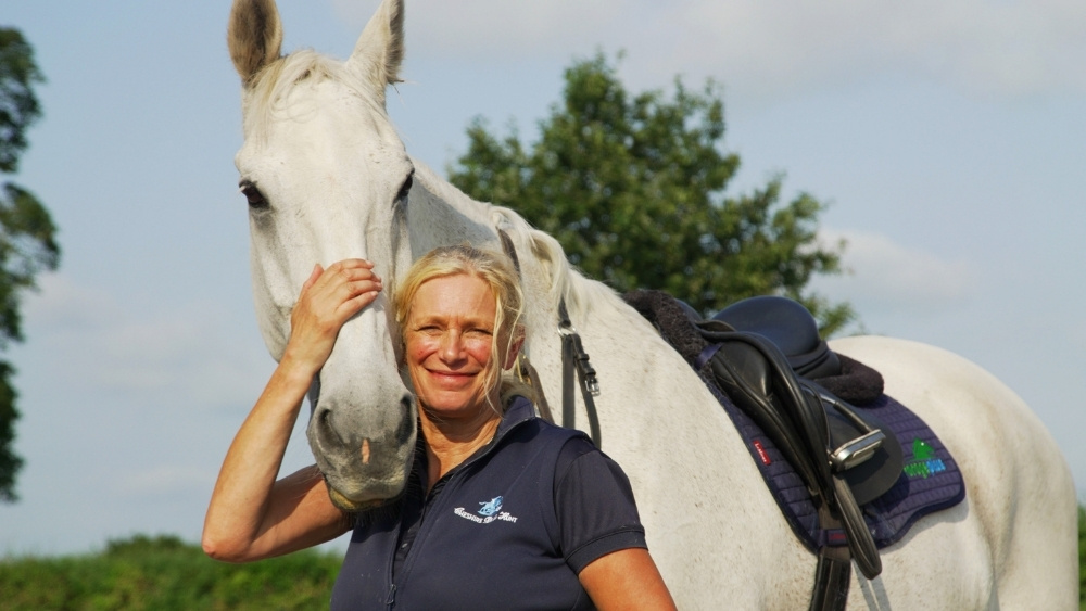 The horse immune system