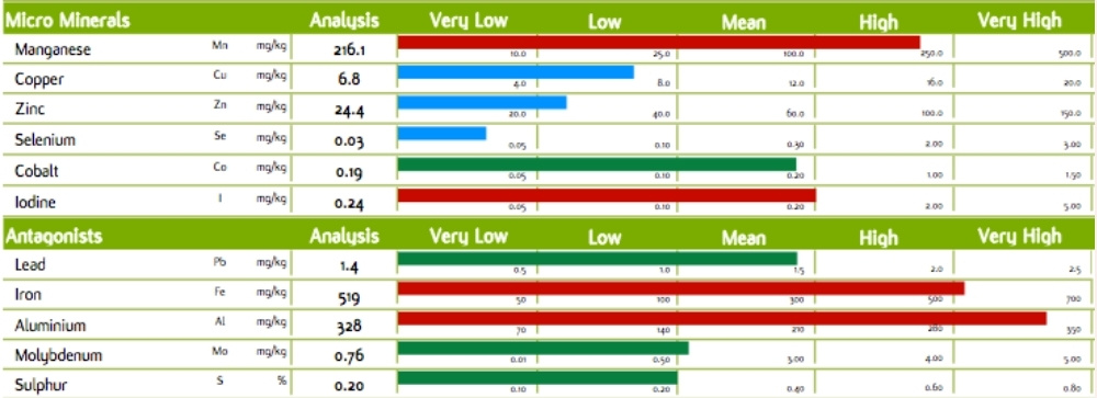 Ultra-Low Iron Horse Feed Balancers 3 antagonist minerals