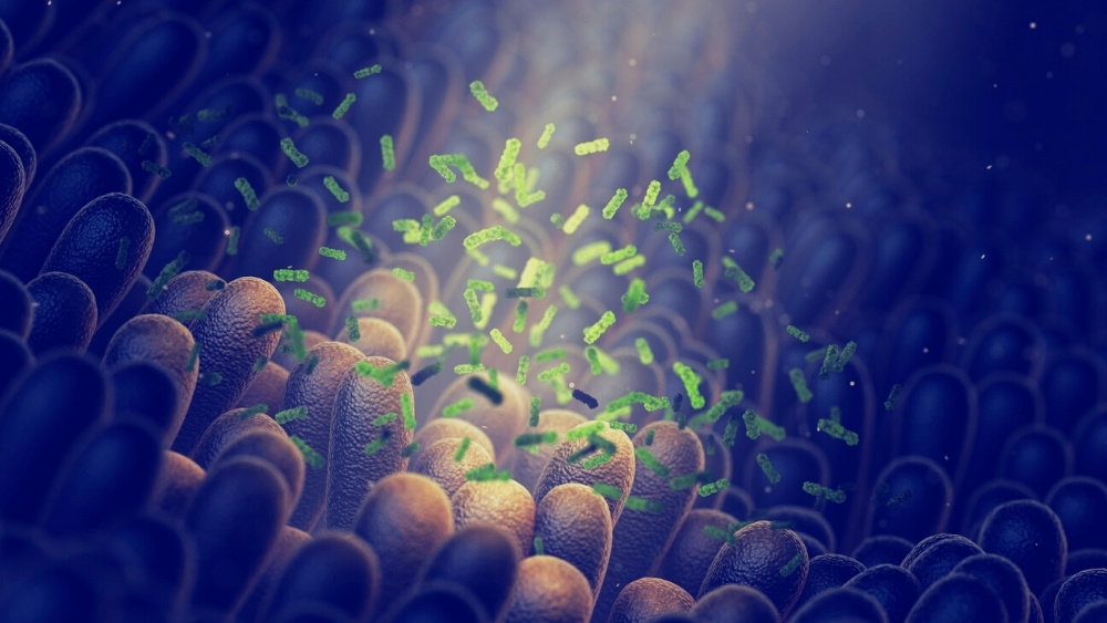 equine microbiome