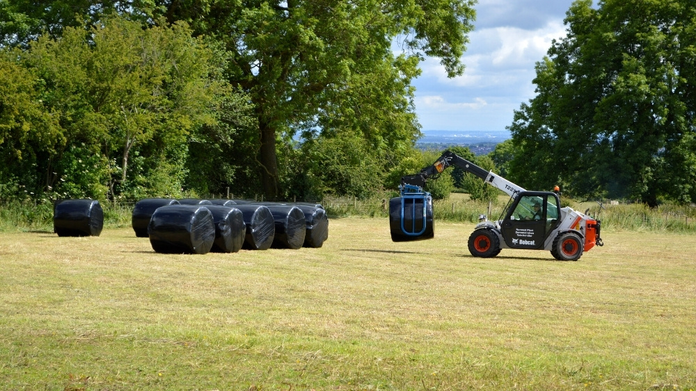 Supporting the Horse Immune System 10 haylage in the field