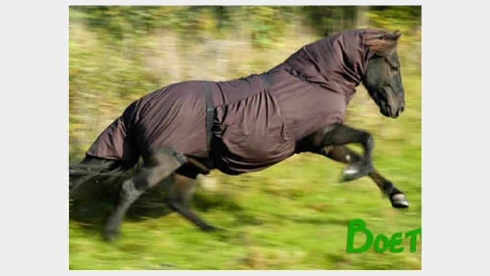 Horse wearing a rug for sweet itch