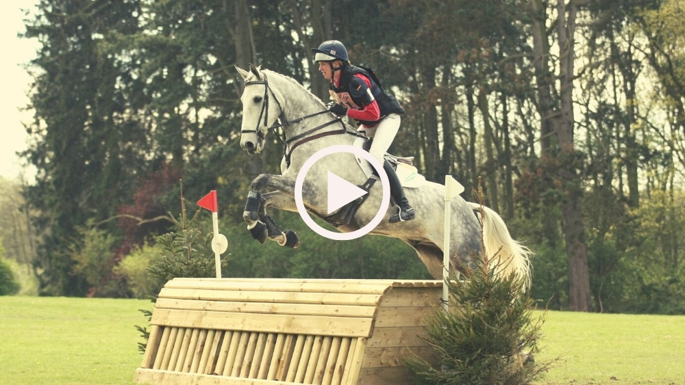 a performance horse jumping