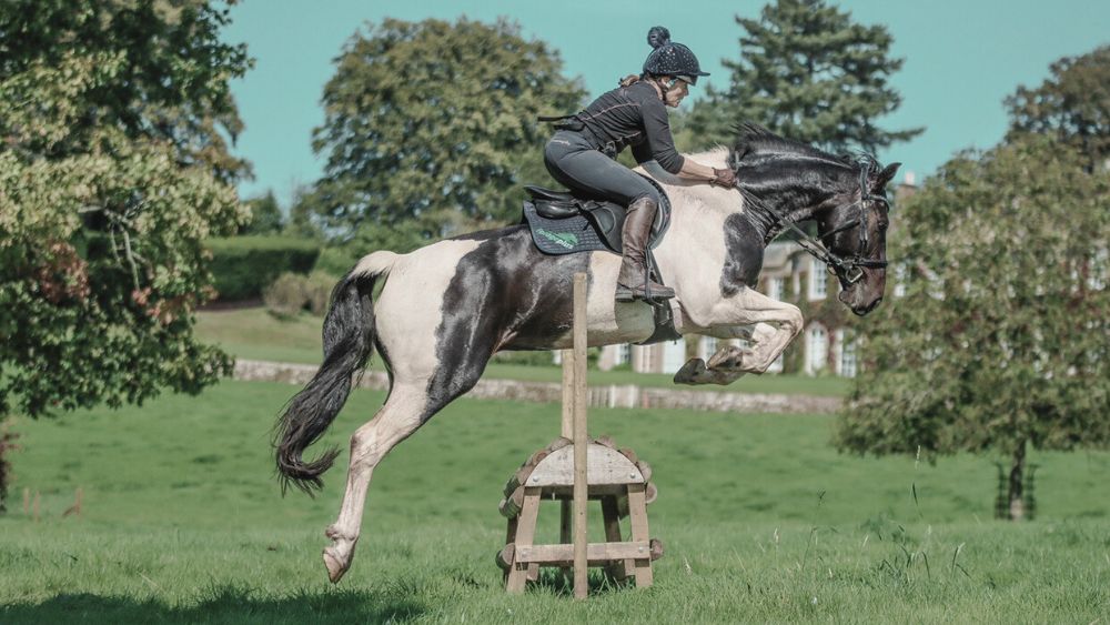 Stress and magnesium for horses